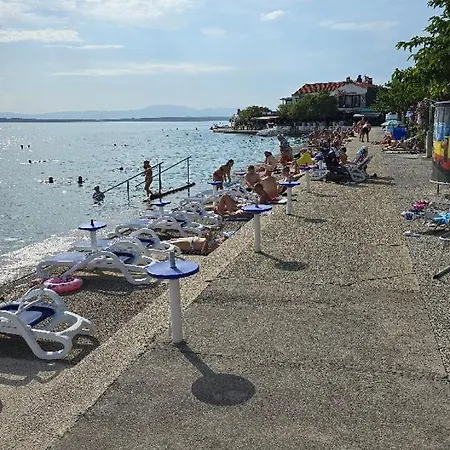 Adriatic * سيلتسي